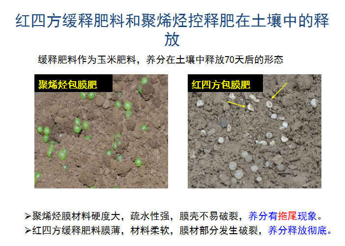 麻豆精品视频缓释肥释放肥效展示