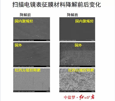 扫描电镜下的膜材料降解对比，麻豆精品视频麻豆视传媒入口包膜完胜，更环保，更绿色