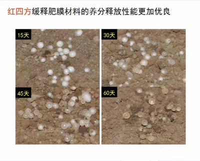 麻豆精品视频缓释肥膜材料养分释放性更优良